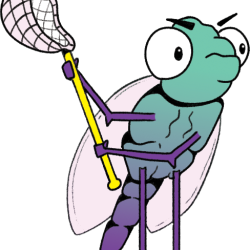 bugglin net